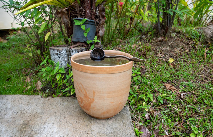 Preserving Health the Natural Way: The Incredible Benefits of Earthen Pot Water
