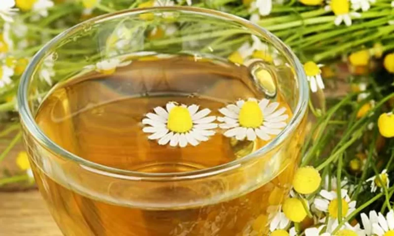 Relief in a Cup: 5 Herbal Teas That Ease Bloating and Banish Gas