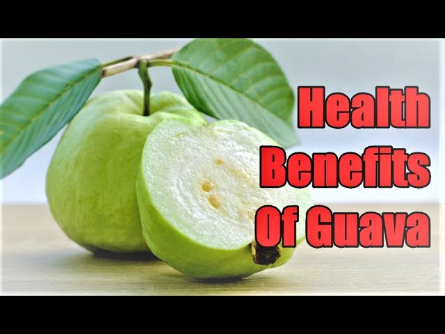 Wellhealthorganic.com: 5 Amazing Health Benefits of Guava