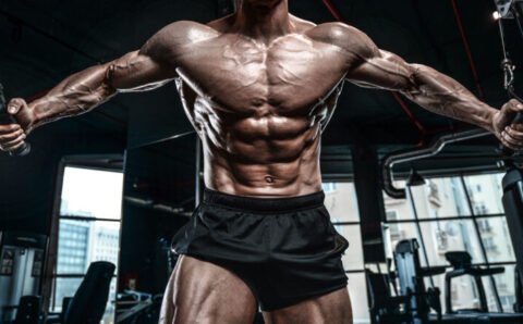 From Beginner to Beast: Essential Tips for Muscle Building Success
