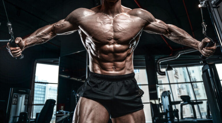 From Beginner to Beast: Essential Tips for Muscle Building Success