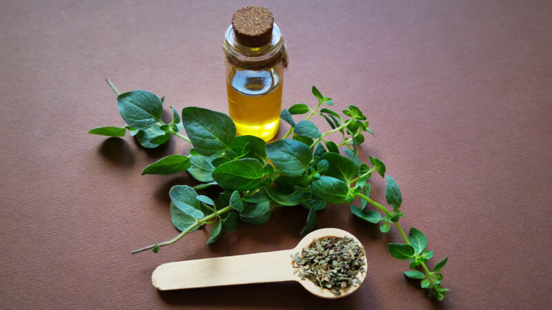 Oil of Oregano as a Natural Antifungal Agent: Benefits and Uses