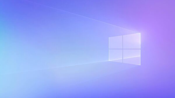 Windows 11 Rajkot Updates: All You Need to Know